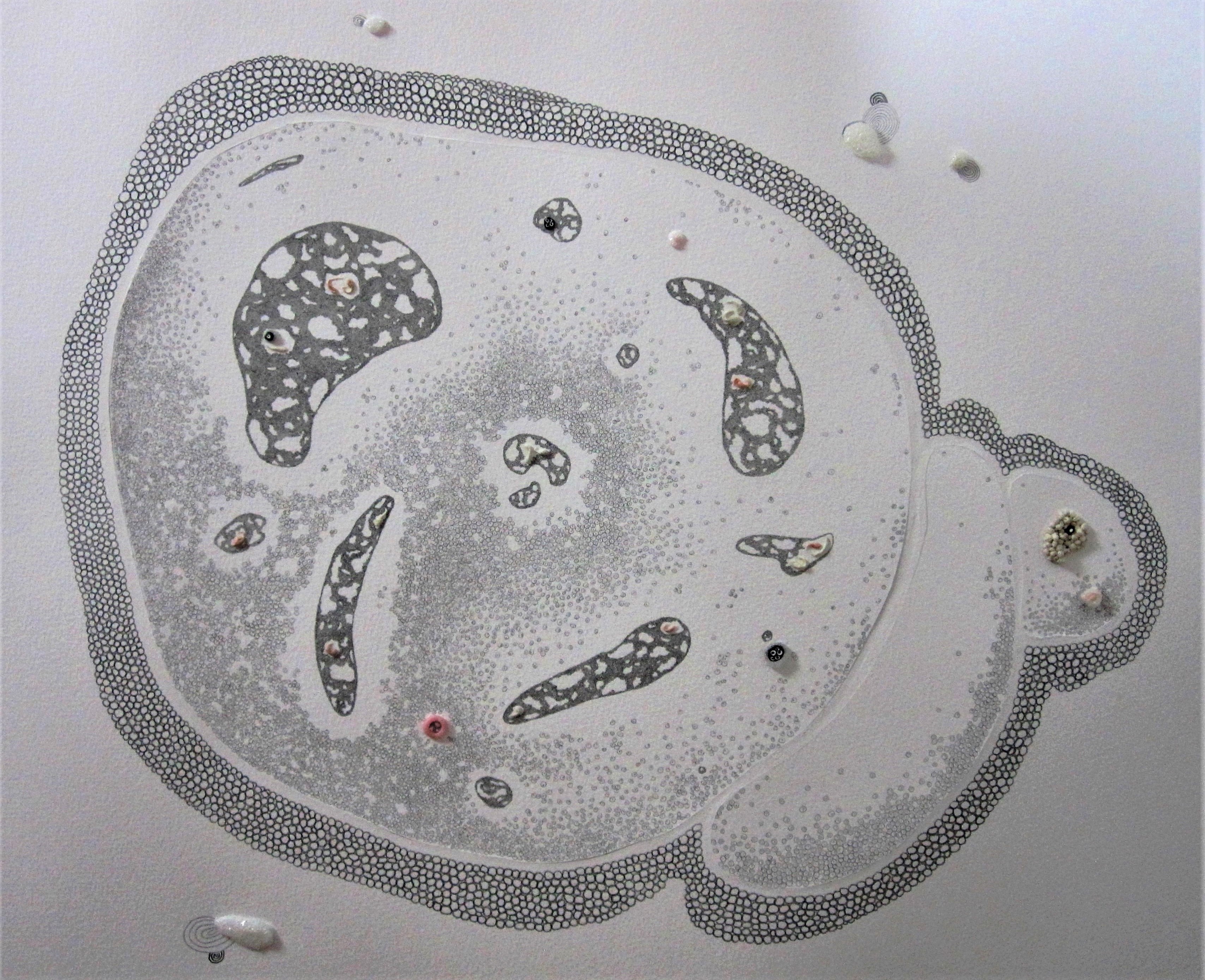 Γ Genetic Field