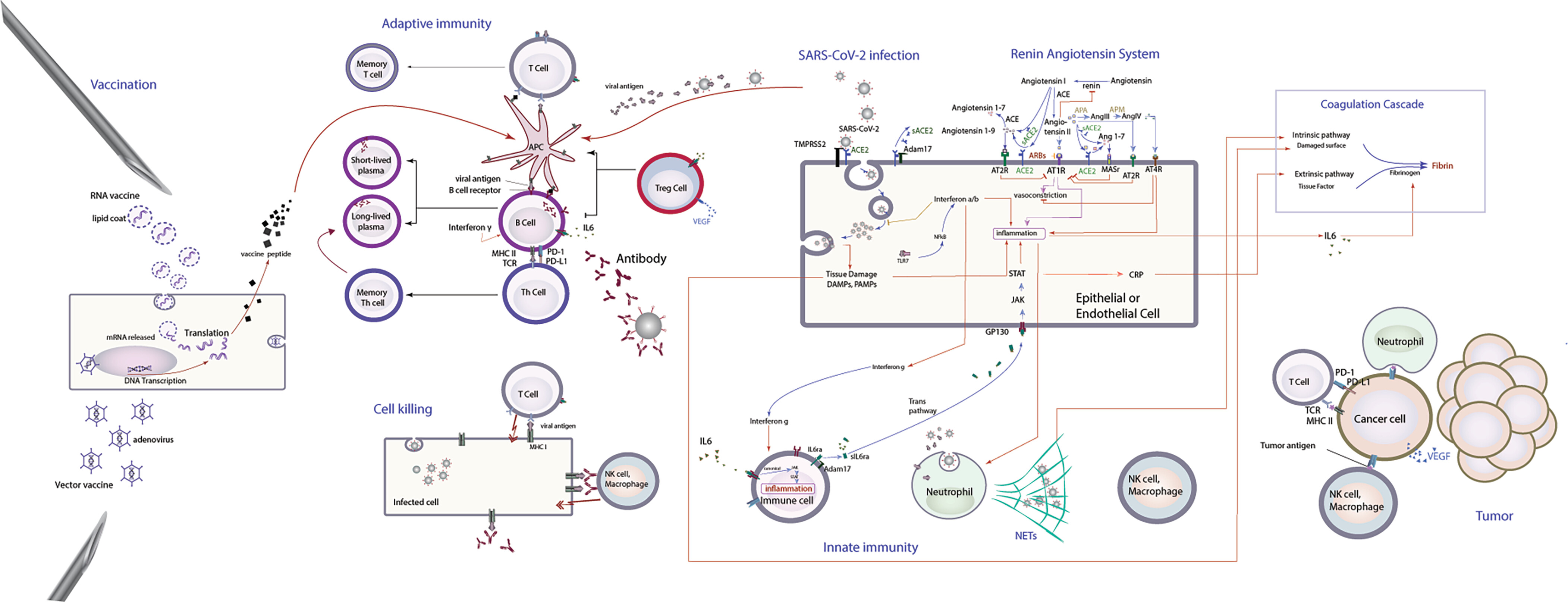 pnas.2211132120fig01