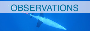 observations-banner